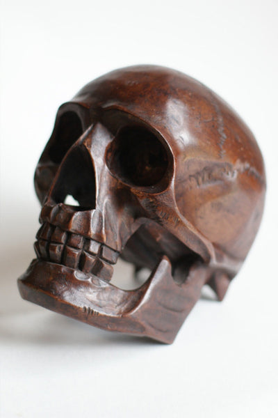 Skull in wood